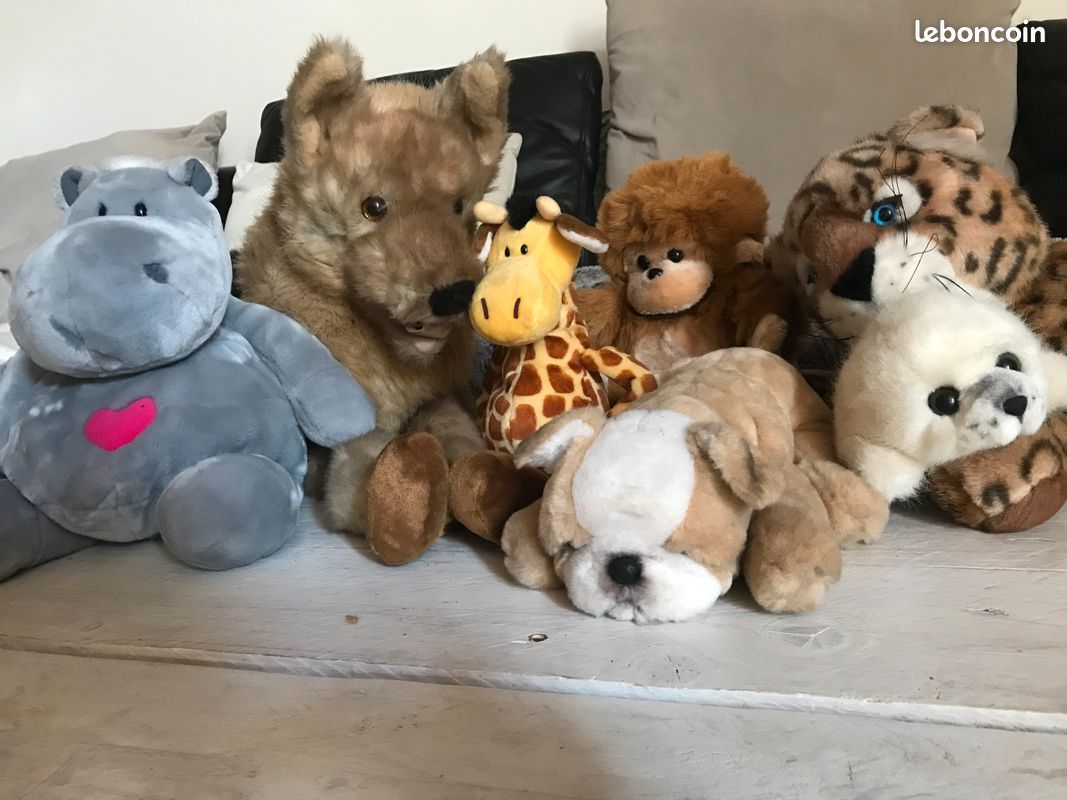 Peluches (image 1)