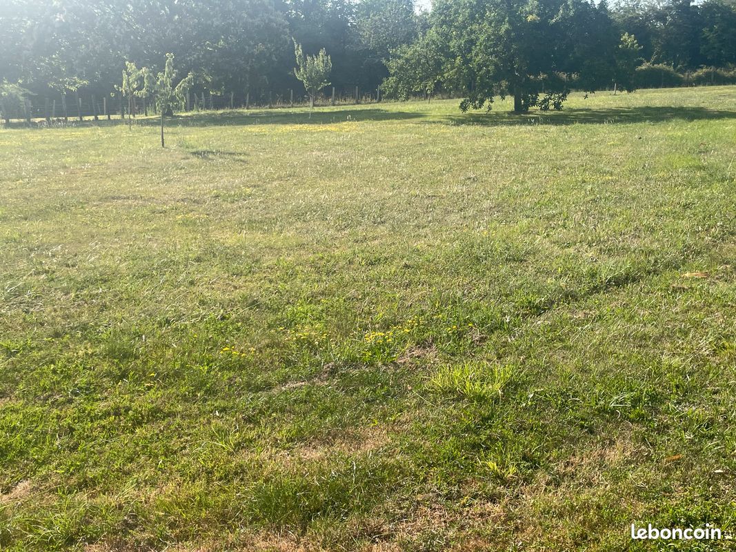 Terrain constructible (image 1)
