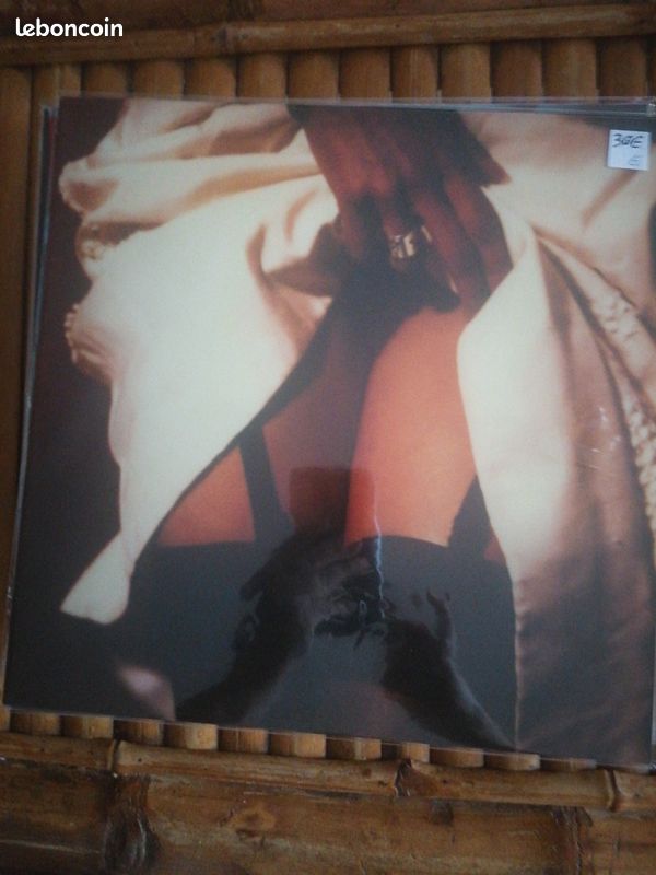 Vinyle the twilight singers (image 1)