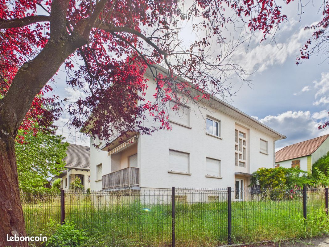Immeuble 1 pièce 203 m² · à Riedisheim · 203 m² · 495 000 €
