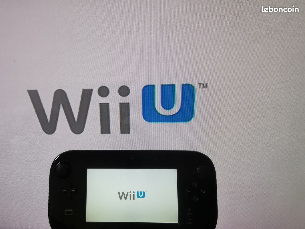 Lot wii et wii u hs (image 6)