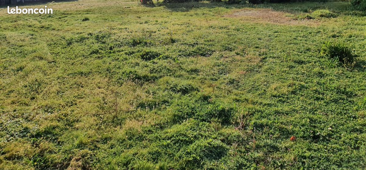 Terrain 900 m² Lacanau · 265 000 €
