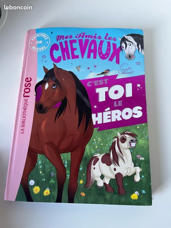 Lot 2 livres Mes Amis les Chevaux — Sophie Thalmann (image 4)