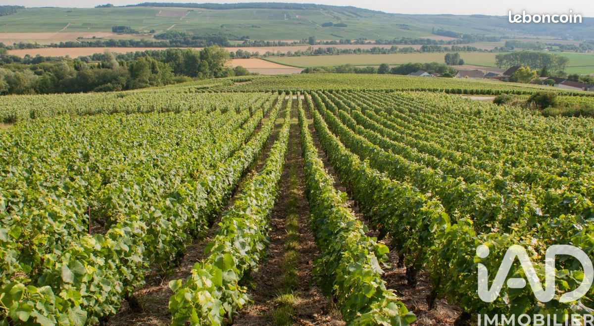Terrain 5023 m² · à Passy-Grigny · 5 023 m² · 398 000 €