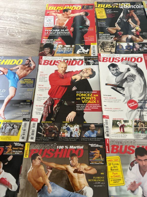 13. Magazines Karaté , Bushido (image 2)