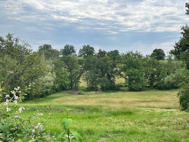 Terrain 2 713 m² Moulins