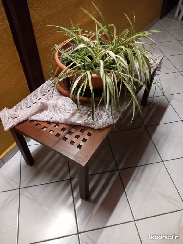 Table basse (image 1)