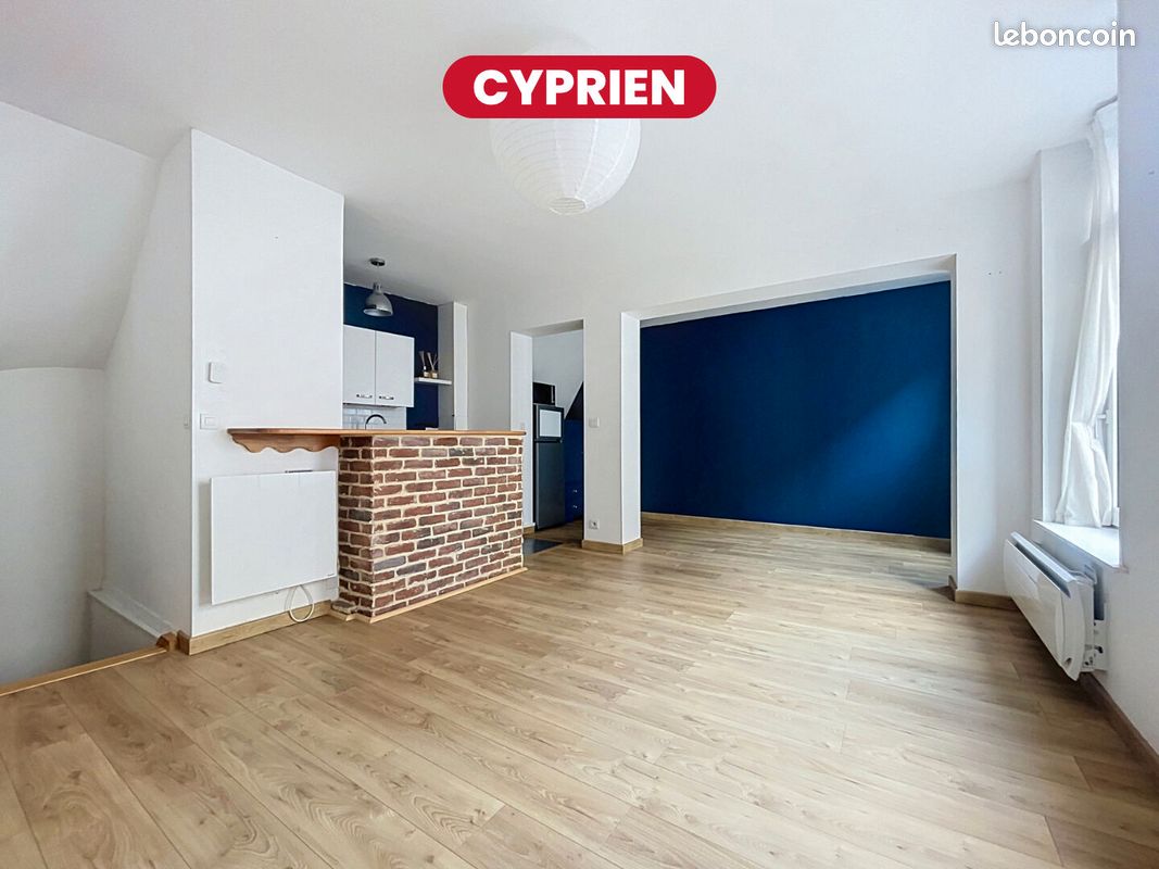 Appartement 3 pièces 50 m² · à Lille · 50 m² · 199 000 €