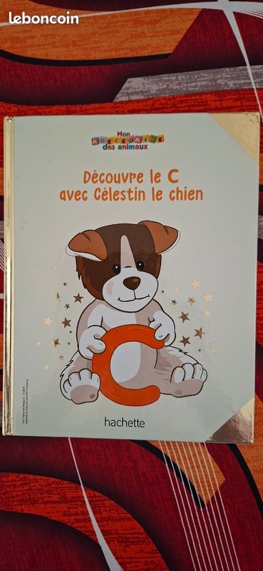 Livre enfant à partir de 6 ans (image 1)