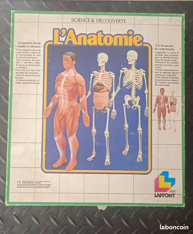 Jeux l'anatomie à la découverte du corps humain -jeux Laffont- (image 1)