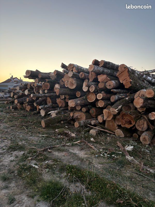 Bois (image 1)