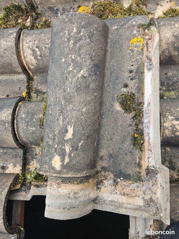 Recherche tuile Ceram Saint Hillaire La Pallud (image 2)