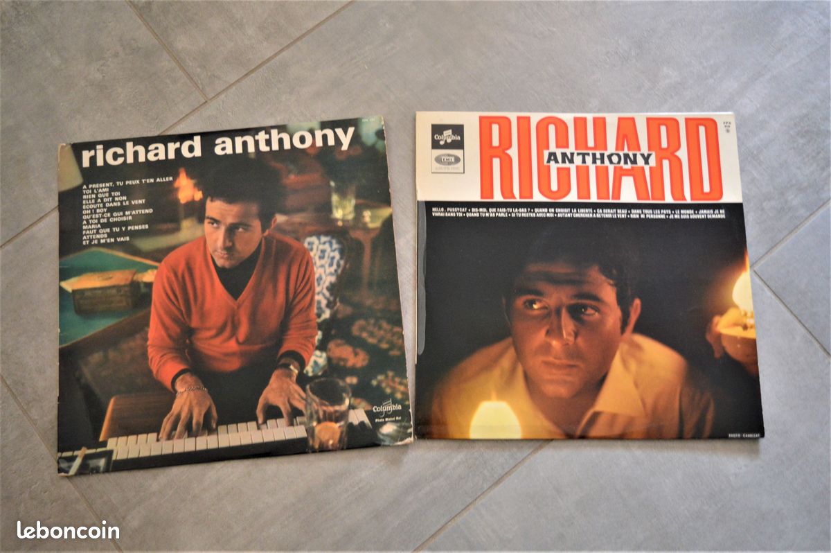 Lot 12 vinyles 33 tours "variété française" (image 2)