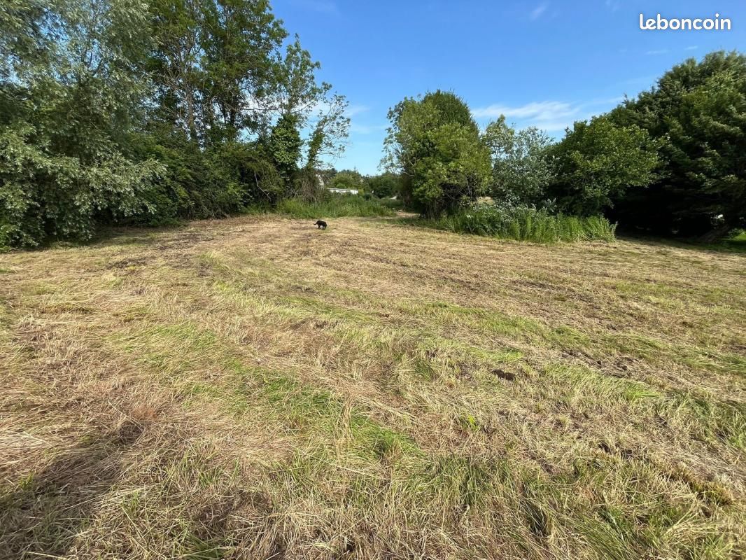 Terrain 13 100 m² Escarmain · 488 000 €