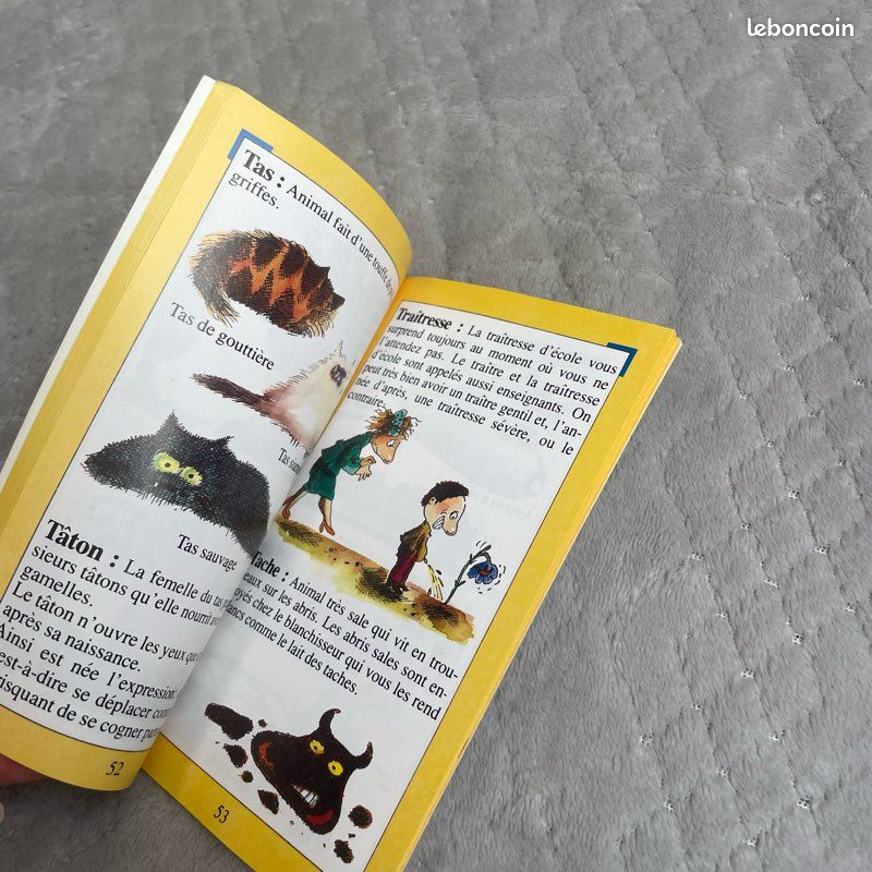 Dictionnaire des mots tordus PEF livre jeunesse humour langage B030 (image 3)