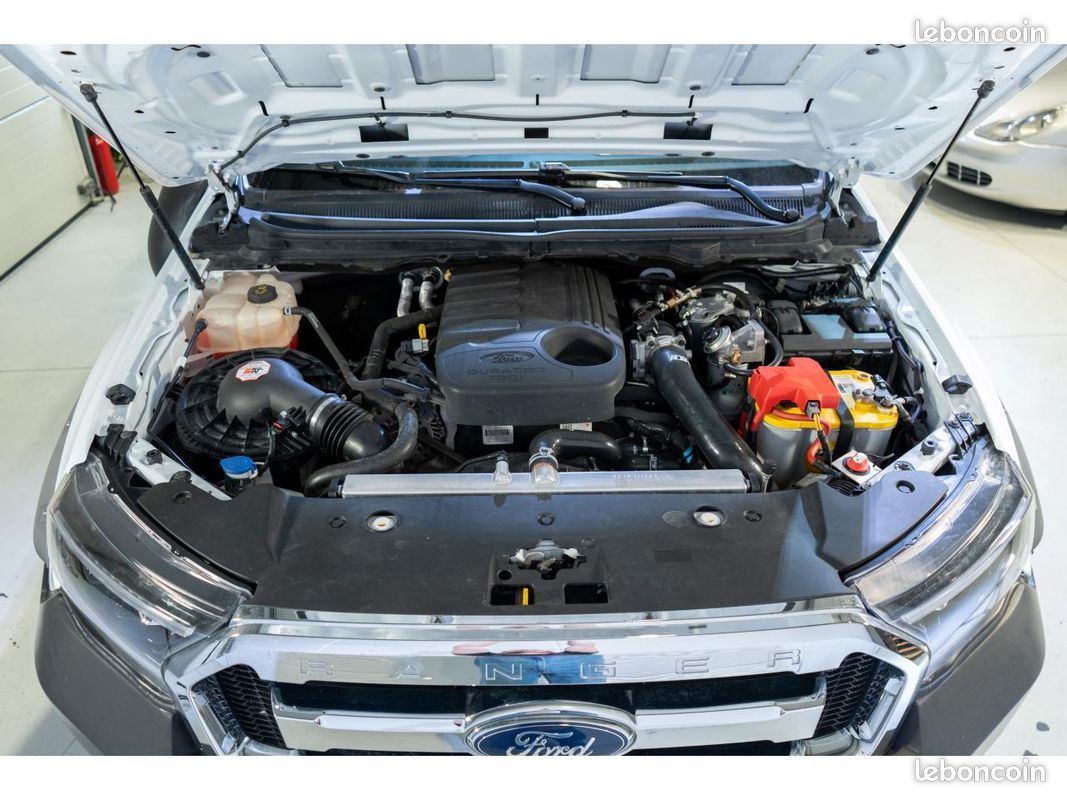 Ford Ranger Limited 3.2L équipé Raid avec Cellule Alu CAB (image 5)
