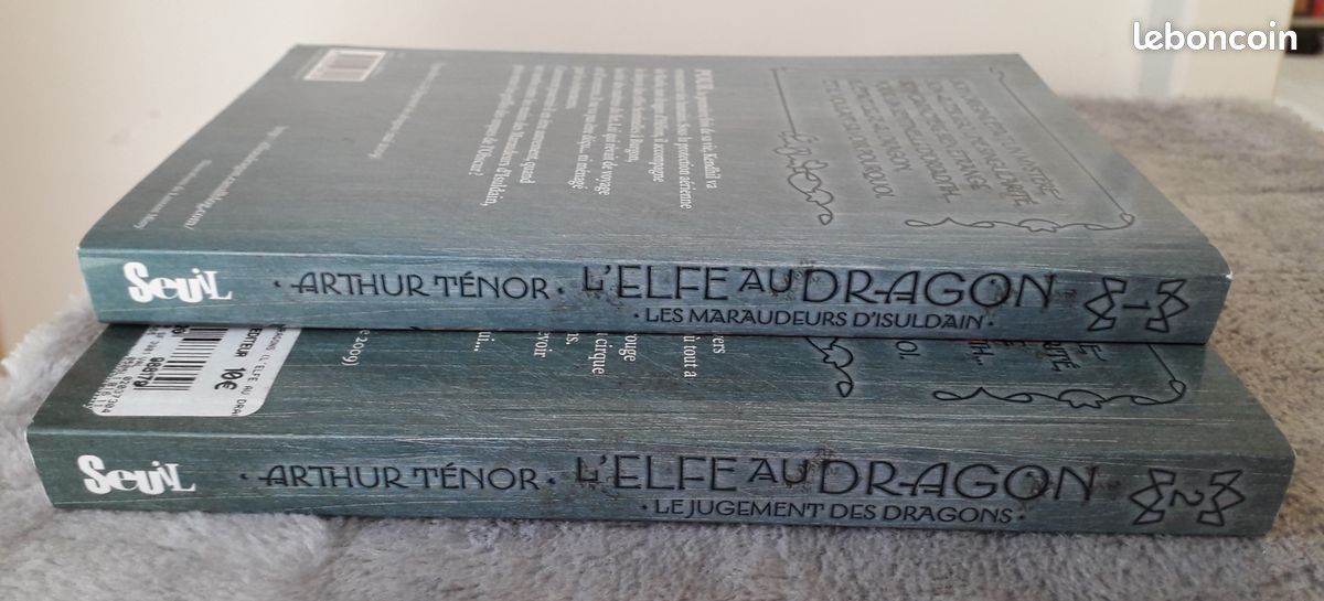 Livres Jeunesse_L’Elfe au Dragon_Vol. 1 &2_Les Maraudeurs d’Isuldain_Le Jugement des Dragons (image 3)
