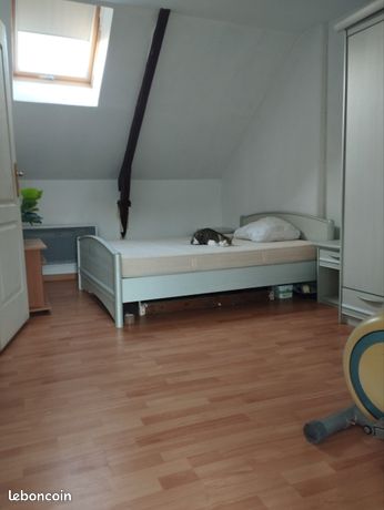Chambre a louer maison au calme