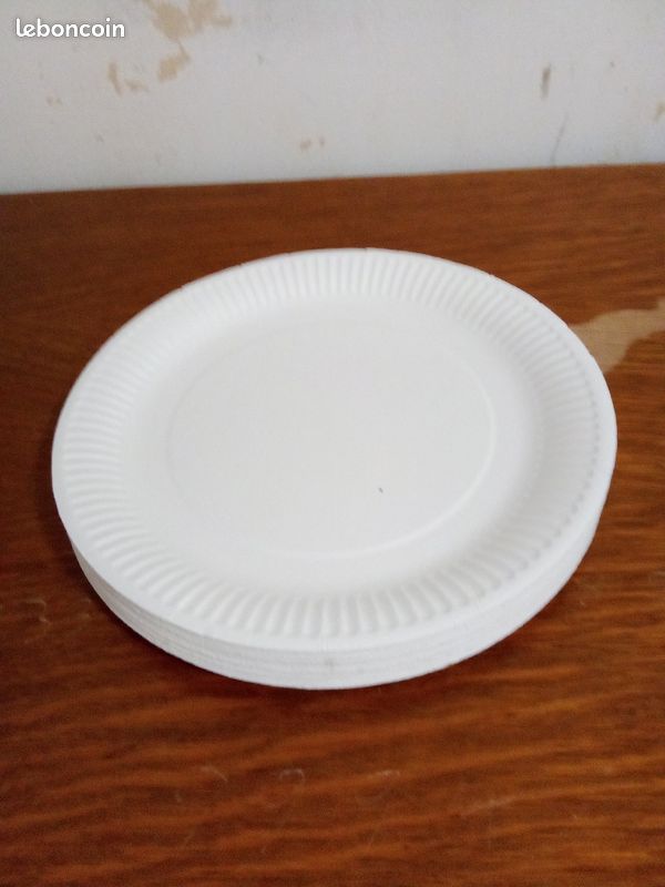 Assiette en carton (image 1)