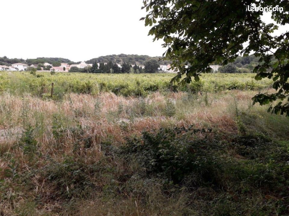 Terrain 503 m² Bizanet · 85 000 €
