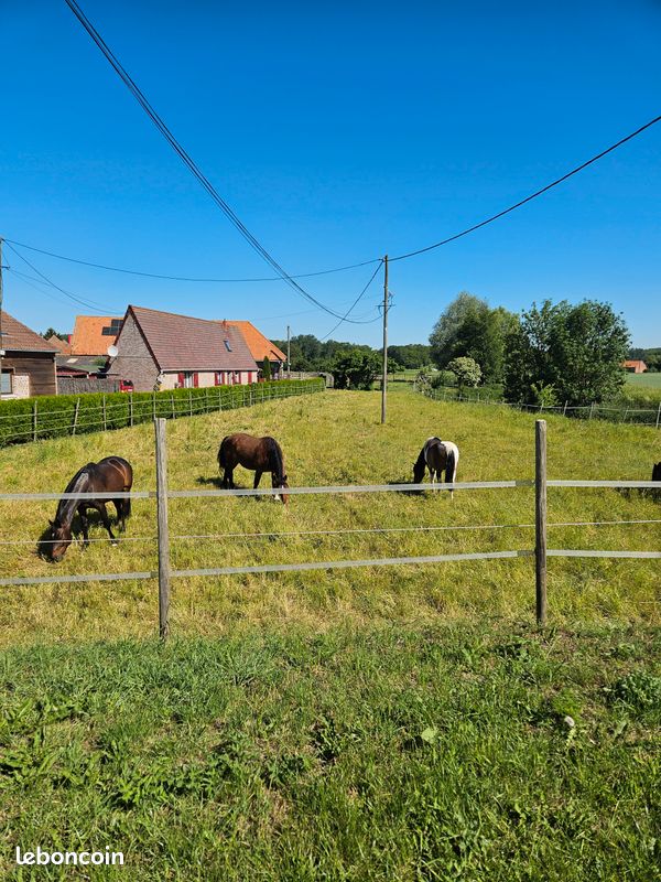 Maison 4 pièces 135 m² · à Merville · 135 m² · 160 000 €
