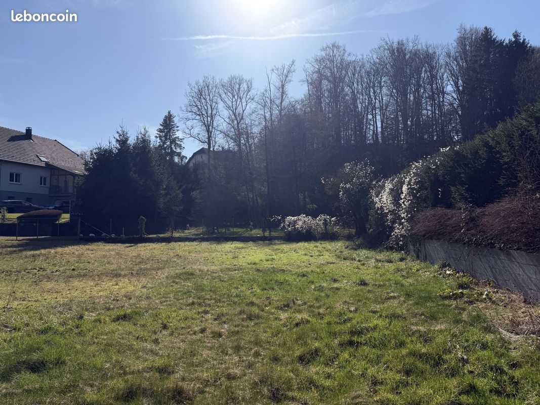 Terrain 550 m² · à Lauw · 70 000 €