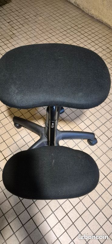 Siege ergonomique (image 1)