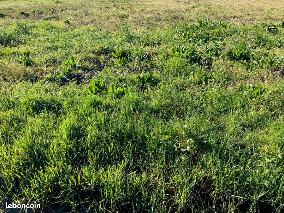 Terrain 500 m² Saintes · 50 000 €