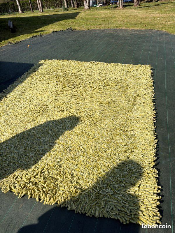 Tapis vert (image 1)