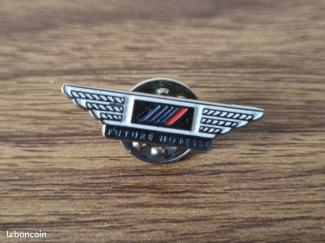Broche Vintage Air France Ailes – Pièce Collector Aviation Concorde Paris