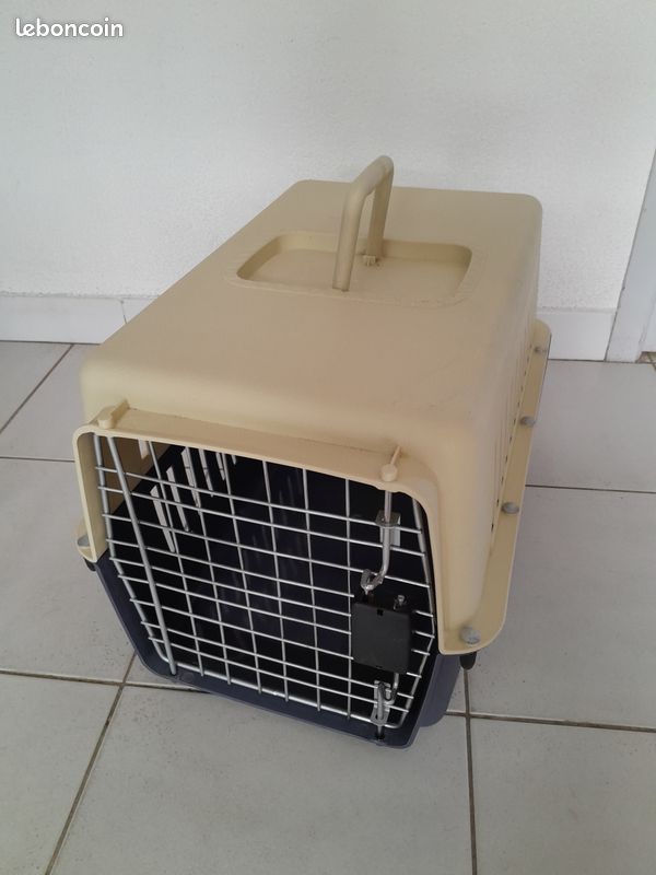 Cage de transport sécurisée pour chat Accessoires animaux