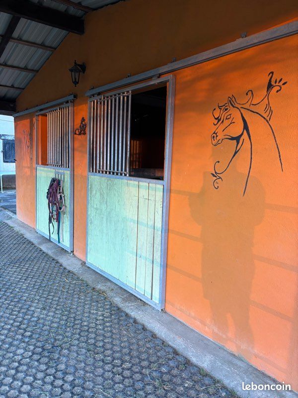 Pension cheval (image 9)
