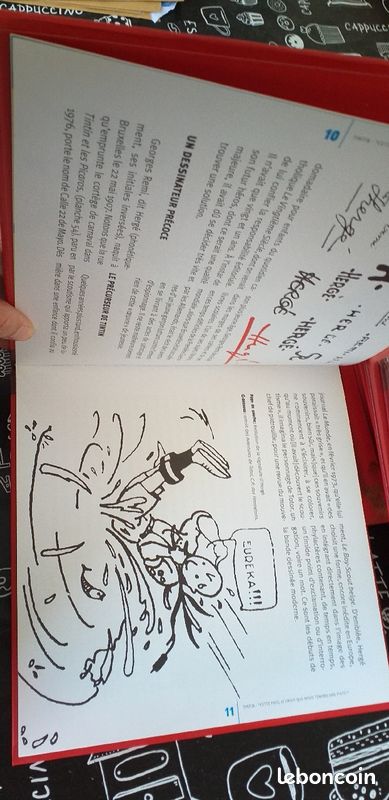 Tintin collection 12 albums (image 3)