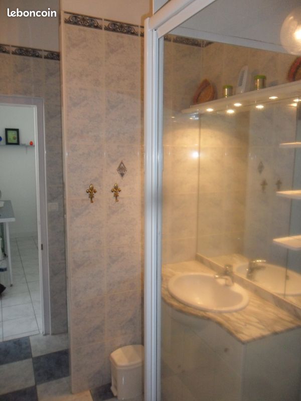 Appartement centre ville face aux Thermes wifi (image 8)
