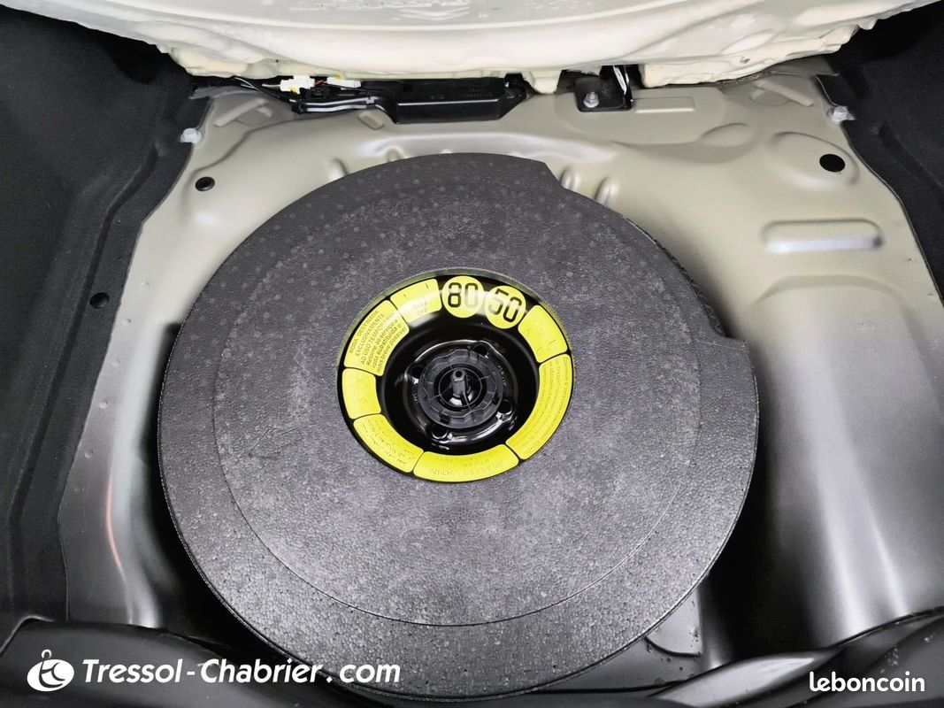 CITROEN C4 Cactus BlueHDi 100 S&S BVM6 Shine (image 15)