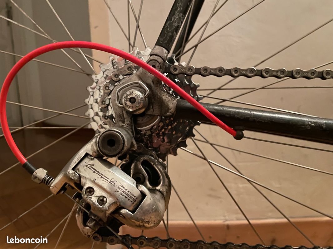 Vitus Carbone Vintage (image 4)