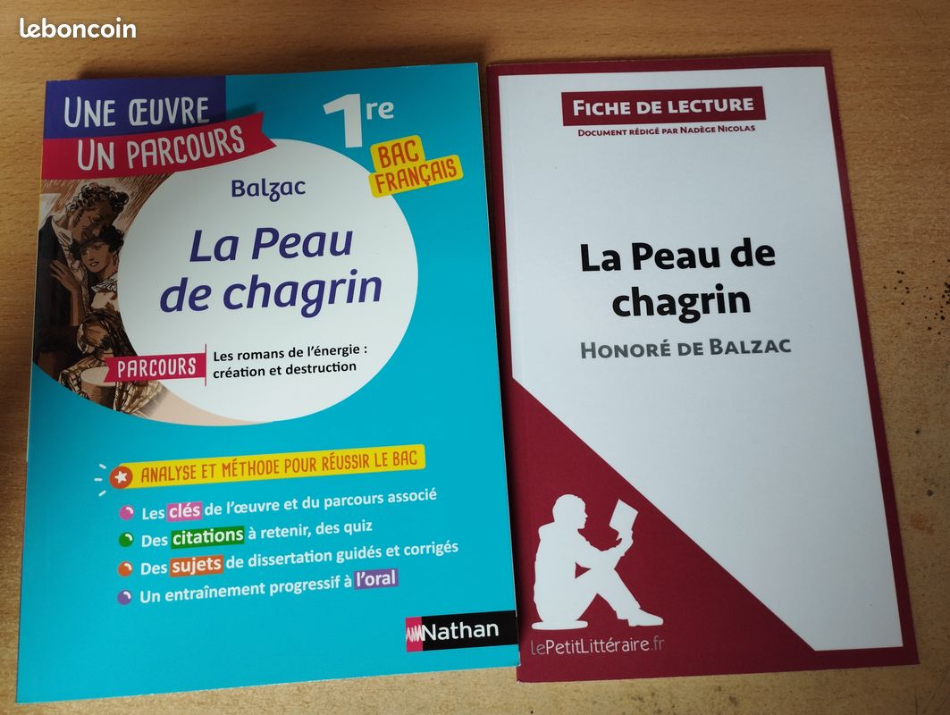 Livres d'analyse de lecture en 1 ère pour bac de Français (image 2)