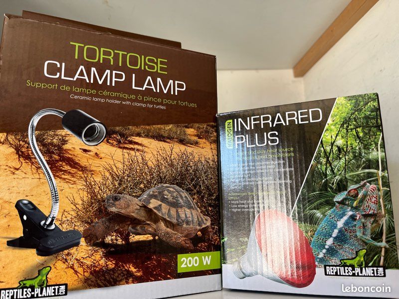 Lampes reptiles ou chiots (image 1)