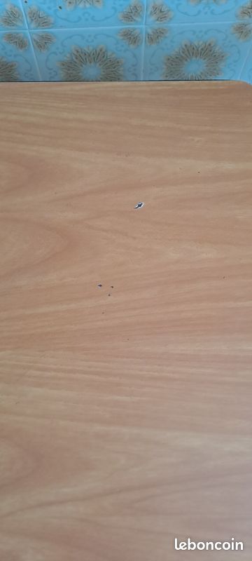 Table formica (image 5)