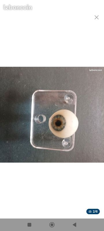 JOUET ANCIEN SANGLIER yeux en verre animal vitrine collection EUR 40,00