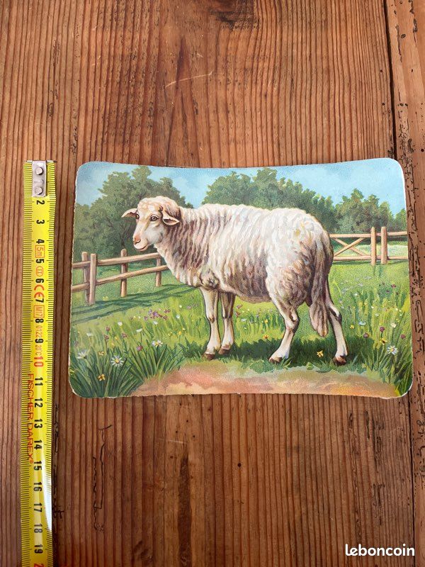 Chromos / découpis / image ancienne mouton (image 3)