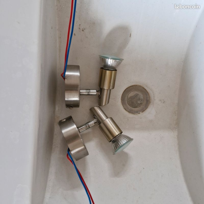 Spot (image 1)