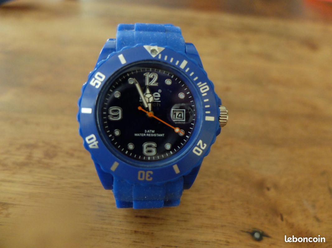 Montre Icewatch (image 1)