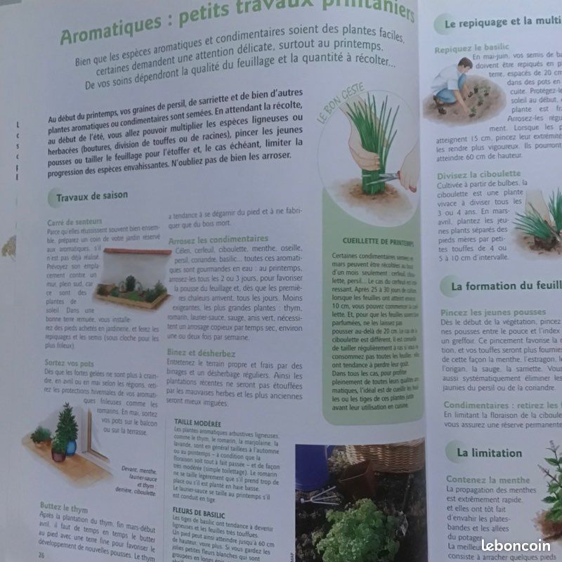 Guide du potager aromatique (image 3)