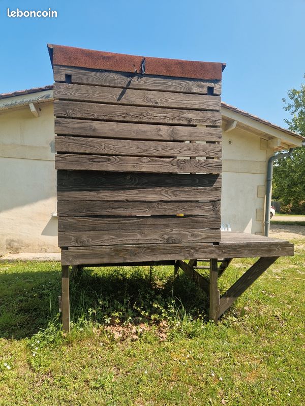 Cabane bois enfant (image 4)
