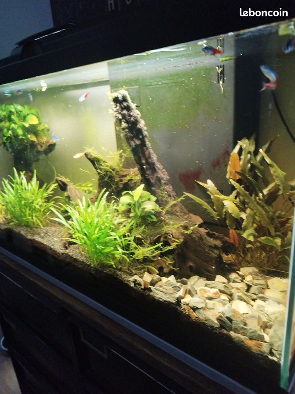 Aquarium 80 l (image 3)
