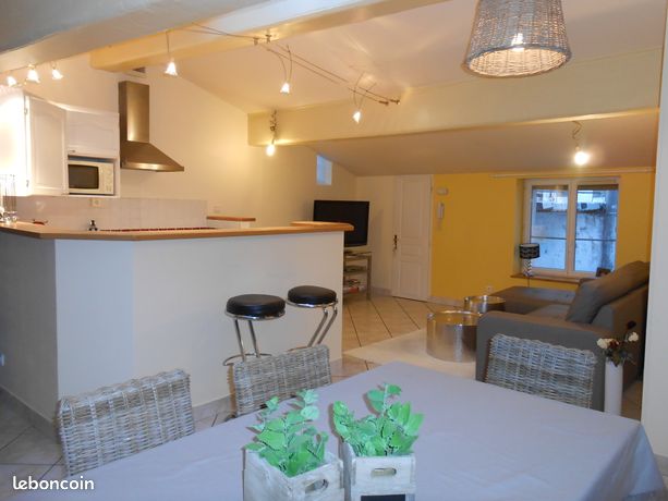 T3 meublé - 75m² très spacieux et lumineux au coeur de Vienne