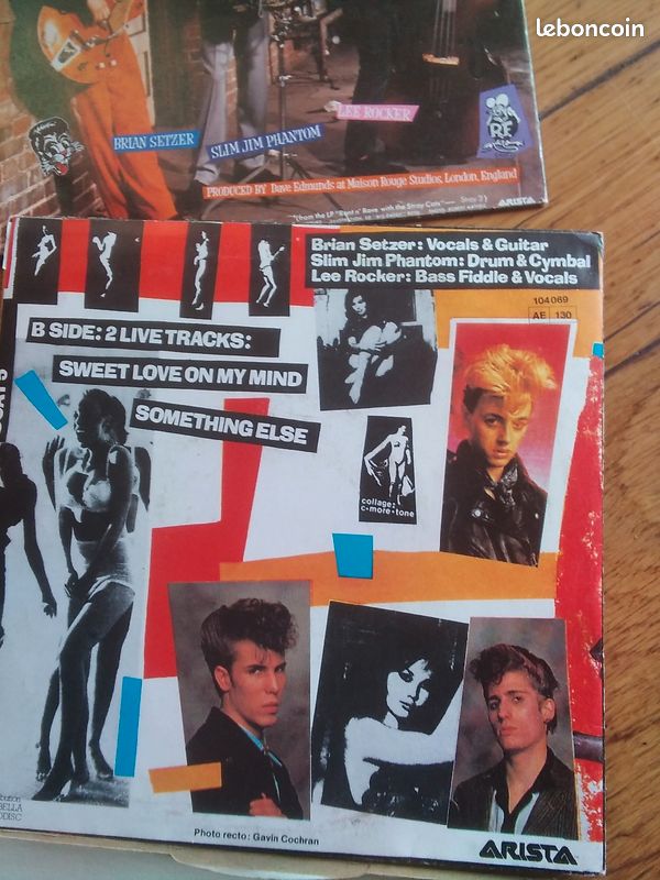 Stray Cats (image 3)