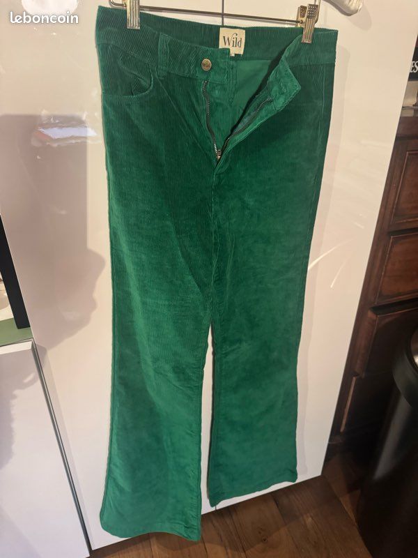 Pantalon velours Wild (image 1)