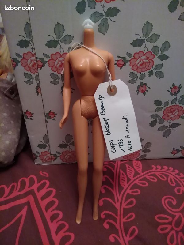 Lot de barbie (image 2)
